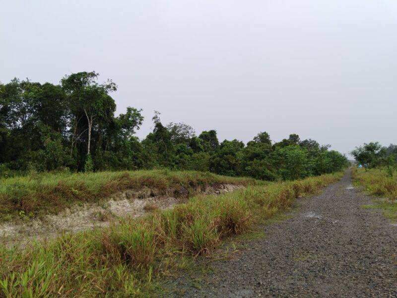 Mixed Zone Agriculture Land Matang Kuching 4.84 acre by Roadside for SALE