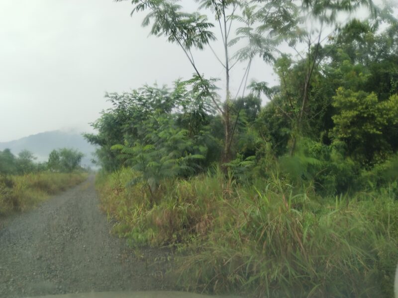 Mixed Zone Agriculture Land Matang Kuching 4.84 acre by Roadside for SALE