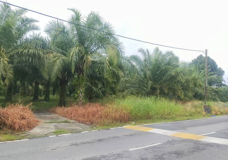 Batang Ai @ Engkilili 8 acres LAND FOR SALE RM 688K