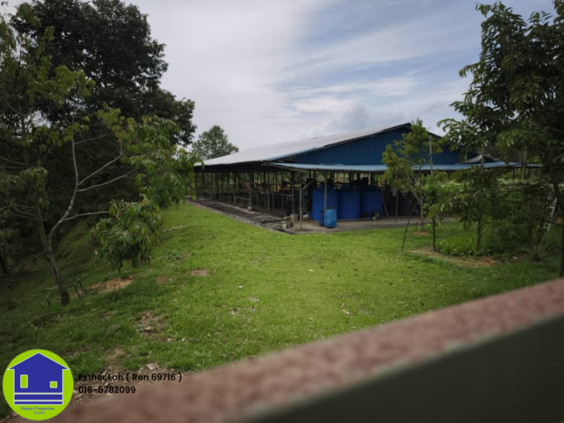LAND FOR SALE 29th Mile Durian Farm jalan kuching Serian