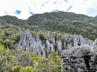 Mulu National Park