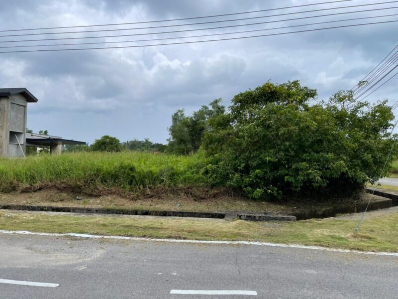 Lorong Pustaka 2A Petra Jaya Native Area Land Vacant Residential Bungalow Lot For SALE