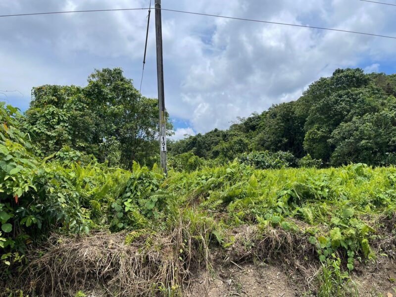 20th Mile Serian-Kuching Pan Borneo Highway first lot vacant agriculture land For SALE