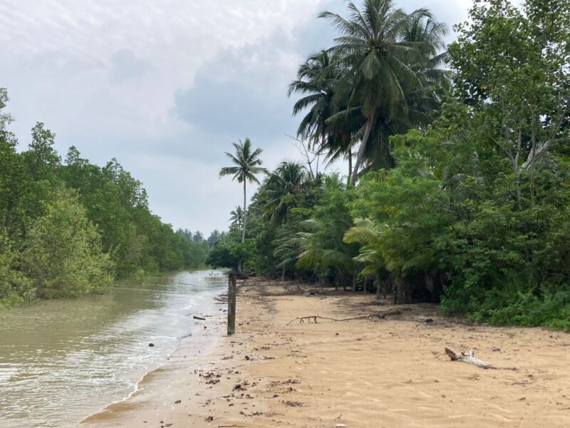 Beach Land at Pasir Putih, Muara Tebas Kuching for Sale