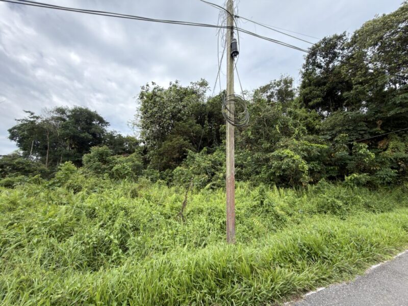 RARE FIND | Two Adjoining Vacant Lots | Batu Kawa, Kuching For SALE