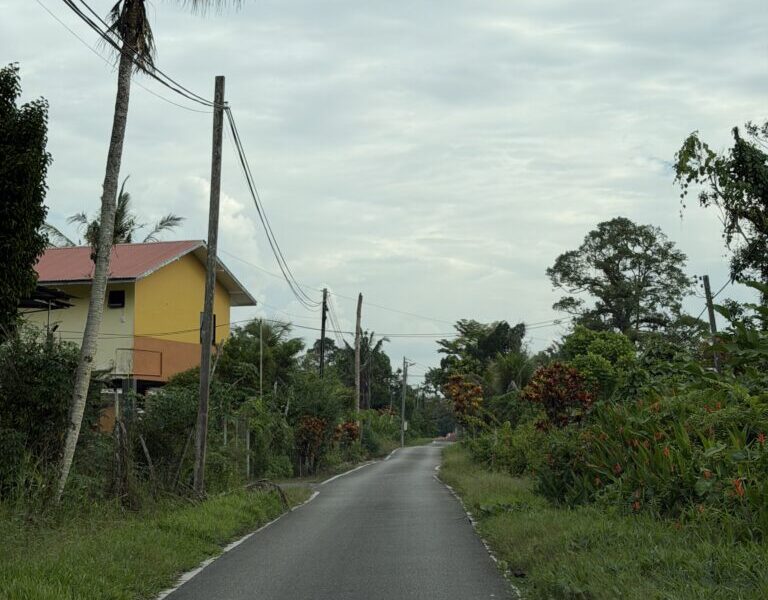 RARE FIND | Two Adjoining Vacant Lots | Batu Kawa, Kuching For SALE